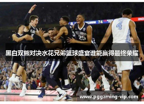 黑白双熊对决水花兄弟篮球盛宴谁能赢得最终荣耀